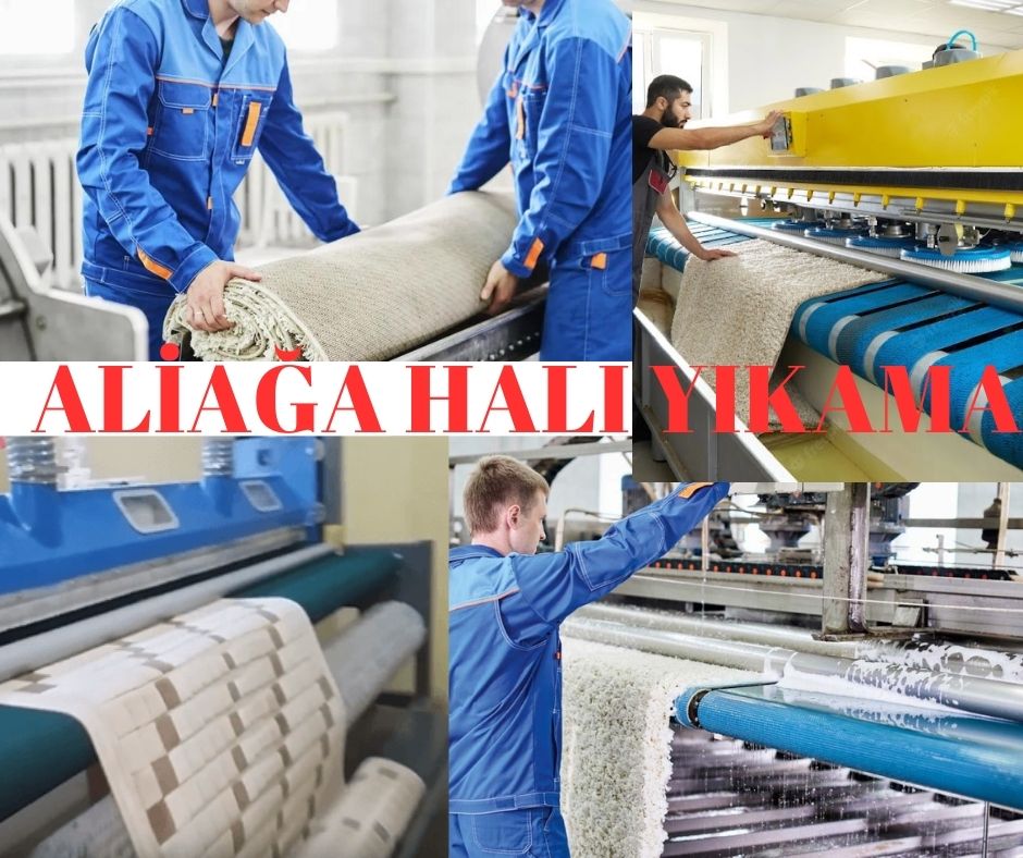aliağa halı yıkama